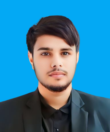 মো: রাব্বি খান